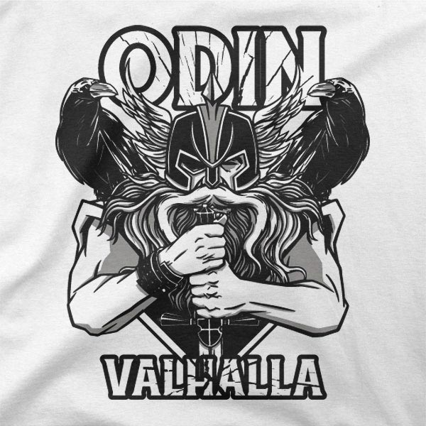 Motiv Odin Valhalla viking